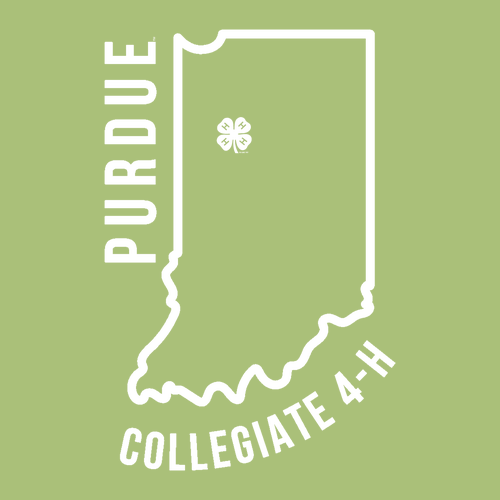 Heavy Cotton T-Shirt -- Kiwi