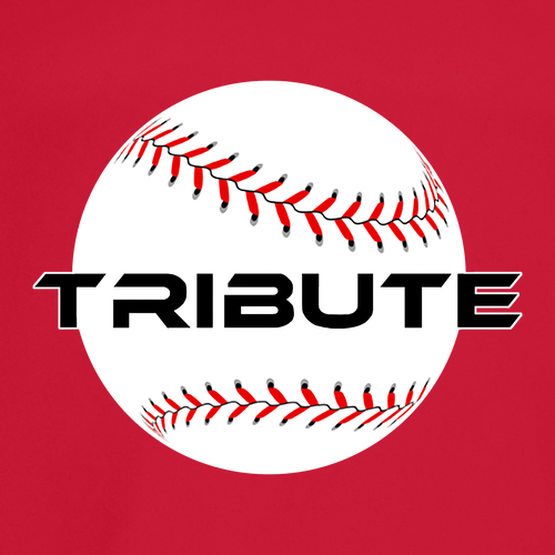 Gildan Heavy Cotton Basic Youth T-Shirt -- Red