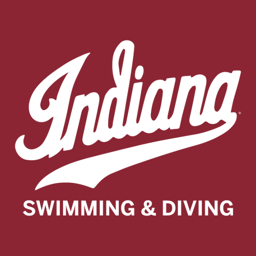 Gildan Heavy Cotton Basic T-Shirt -- Cardinal