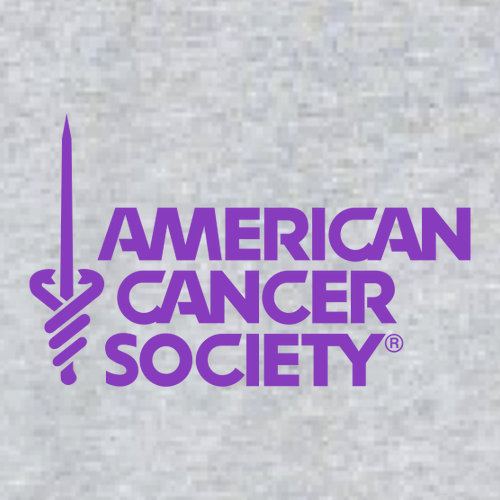 Gildan SoftStyle Fitted T-Shirt -- Sport Grey