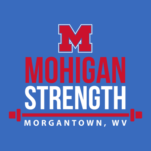 Gildan Heavy Cotton Longsleeve Basic T-Shirt -- Royal