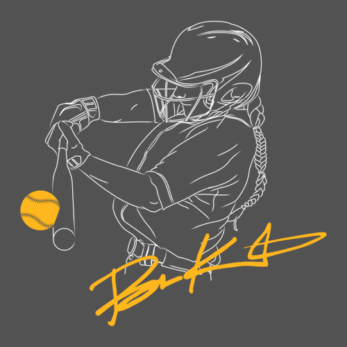 Gildan SoftStyle Fitted T-Shirt -- Charcoal