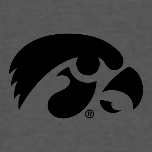 Gildan Heavy Cotton Longsleeve Basic T-Shirt -- Charcoal