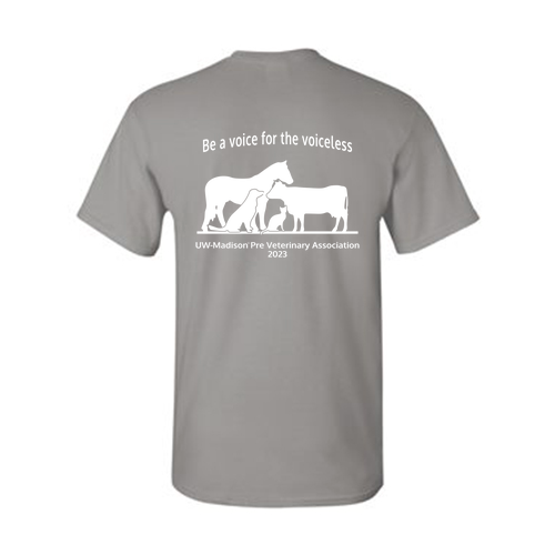 Gildan Heavy Cotton Basic T-Shirt -- Gravel