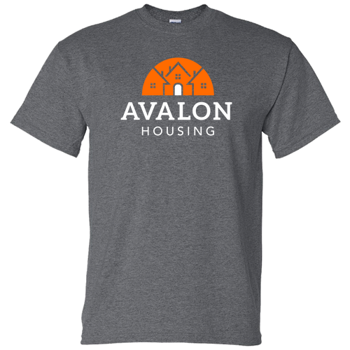 Gildan DryBlend 50/50 T-Shirt -- Dark Heather ~$20