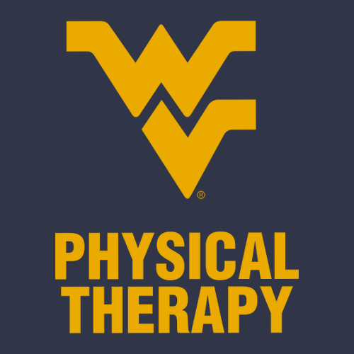 Comfort Colors Ringspun Long Sleeve Tee -- Navy