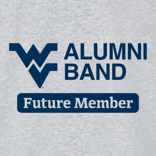 Gildan Heavy Cotton Basic Youth T-Shirt -- Sport Grey