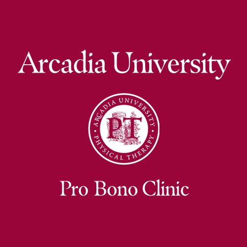 Hanes EcoSmart Adult Heavyweight 50/50 T-Shirt -- Deep Red