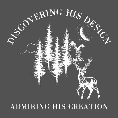 Crew Neck Sweatshirt  Charcoal