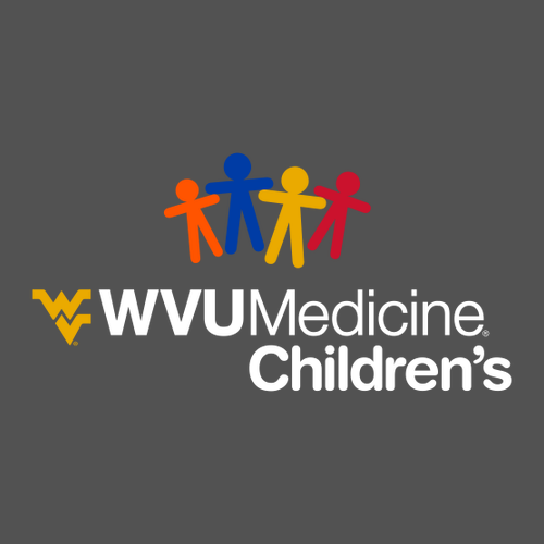 Gildan Heavy Cotton Longsleeve Basic T-Shirt -- Charcoal