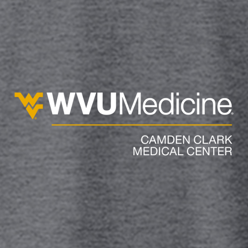 Gildan SoftStyle Fitted T-Shirt -- Dark Heather