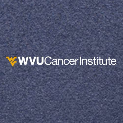 Charles River Womens Heathered Fleece Pullover -- Navy Heather