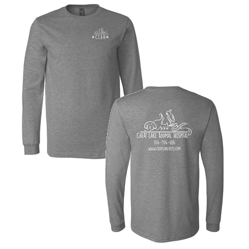 Bella+Canvas Unisex Heather Cvc Long Sleeve Tee- Heathers -- Deep Heather