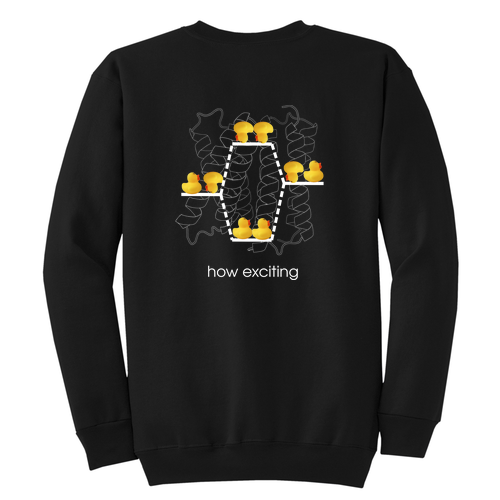 Port and Company Classic Crewneck Sweatshirt -- Jet Black
