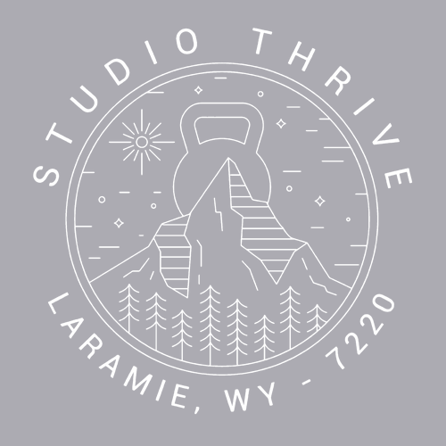 Comfort Colors Ringspun Long Sleeve Tee -- Granite