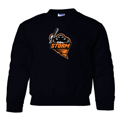 YOUTH Gildan Heavy Blend Crew Neck Sweatshirt -- Black