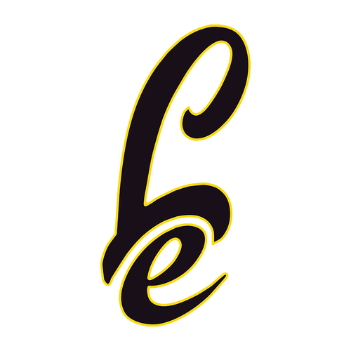 Gildan Youth Heavy Cotton Longsleeve -- White