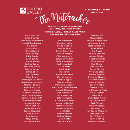 Gildan Heavy Cotton Longsleeve Basic T-Shirt -- Red