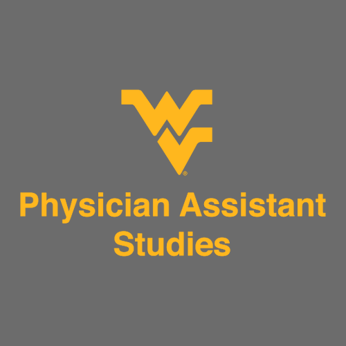 Comfort Colors Ringspun Long Sleeve Tee -- Grey