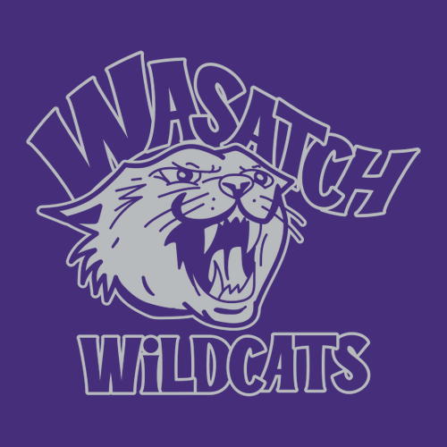 Gildan Heavy Cotton Basic T-Shirt -- Purple