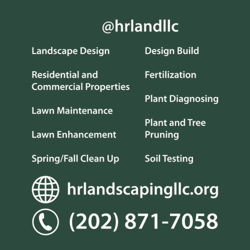 Gildan Heavy Blend Hooded Sweatshirt -- Forest Green