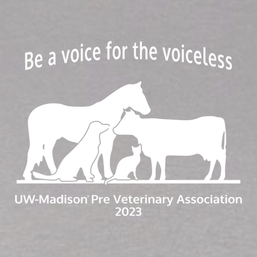 Gildan Heavy Cotton Basic T-Shirt -- Gravel