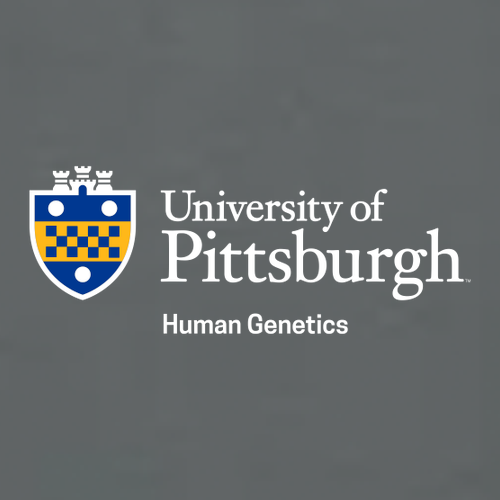 Gildan Softstyle CVC T-Shirt -- Gunmetal