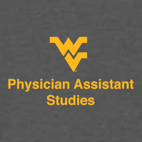 Gildan Heavy Cotton Longsleeve Basic T-Shirt -- Charcoal