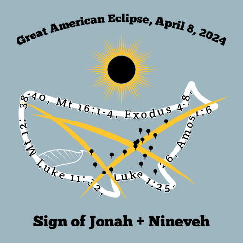 Cotton Heritage Women's V-Neck T-Shirt -- Blue Fog