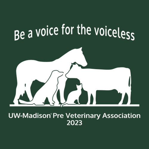 Gildan Heavy Blend Hooded Sweatshirt -- Forest Green