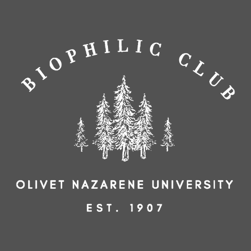 Crew Neck Sweatshirt  Charcoal