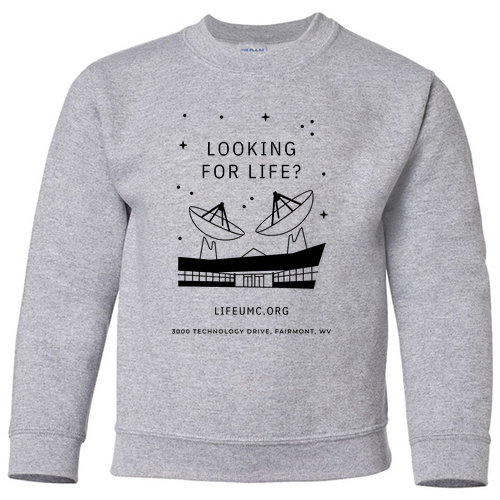 Gildan Heavy Blend Youth Crew Neck Sweatshirt -- Sport Grey