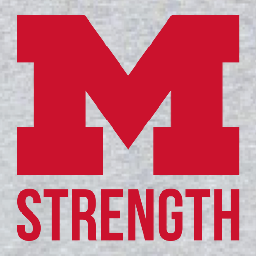 Gildan Heavy Cotton Longsleeve Basic T-Shirt -- Sport Grey