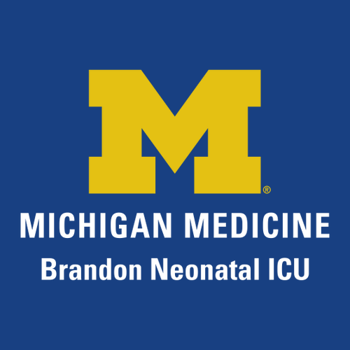 Ladies Port Authority Accord Stretch Fleece Full-Zip -- Royal