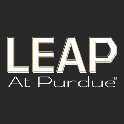 Gildan SoftStyle Fitted T-Shirt -- Black