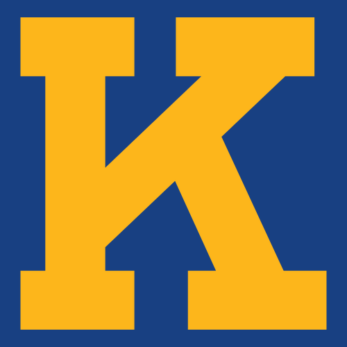 Gildan SoftStyle Fitted T-Shirt -- Royal