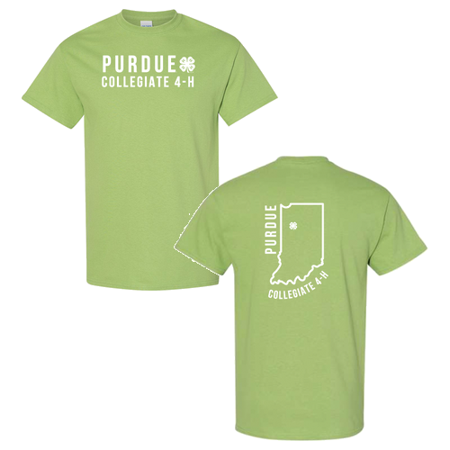 Heavy Cotton T-Shirt -- Kiwi