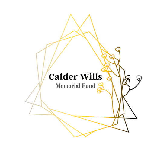 Gildan Heavy Cotton Basic Youth T-Shirt -- White