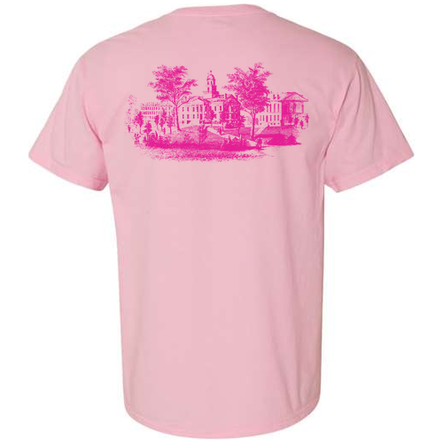 Comfort Colors Ringspun Garment Dyed T Shirt -- Blossom