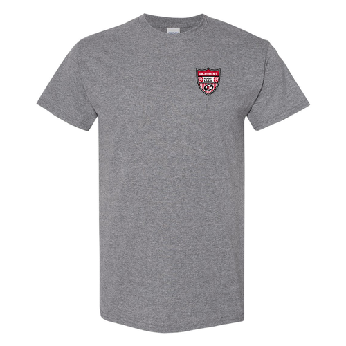 Gildan Heavy Cotton Basic T-Shirt -- Graphite Heather