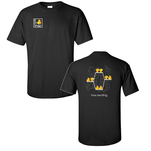 Gildan Ultra Cotton Basic T-Shirt -- Black