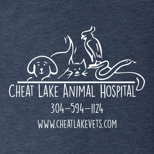 Hanes 7.8 Oz., 50/50 Comfort Blend Fleece Pullover Hood Adult -- Heather Navy