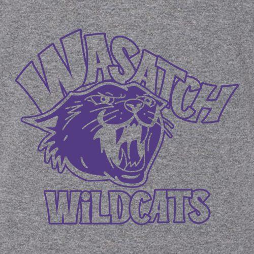 Gildan Heavy Blend Youth Hooded Sweatshirt -- Graphite Heather