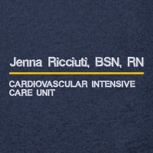 Charles River Womens Heathered Fleece Pullover -- Navy Heather