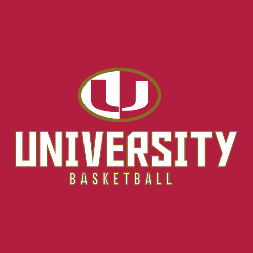 Gildan Heavy Cotton Longsleeve Basic T-Shirt -- Red