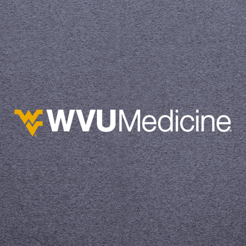 Charles River Womens Heathered Fleece Pullover -- Navy Heather