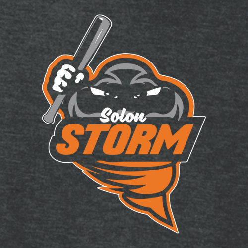 District Made Mens Perfect Tri Raglan -- Black Frost / Black