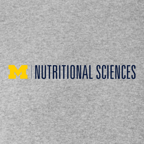 Hanes Adult 6 oz. Authentic-T Long-Sleeve T-Shirt -- Light Steel