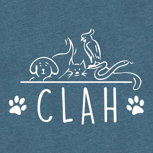 Bella+Canvas Unisex Heather Cvc Long Sleeve Tee- Heathers -- Heather Deep Teal