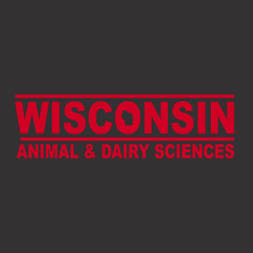 Gildan Heavy Cotton Basic T-Shirt -- Black